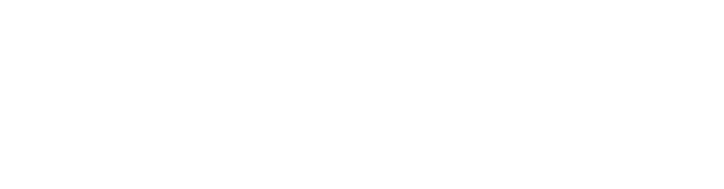 Evosmile.it